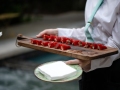 Mentor15_NancySilverton-116-canapes-on-tray